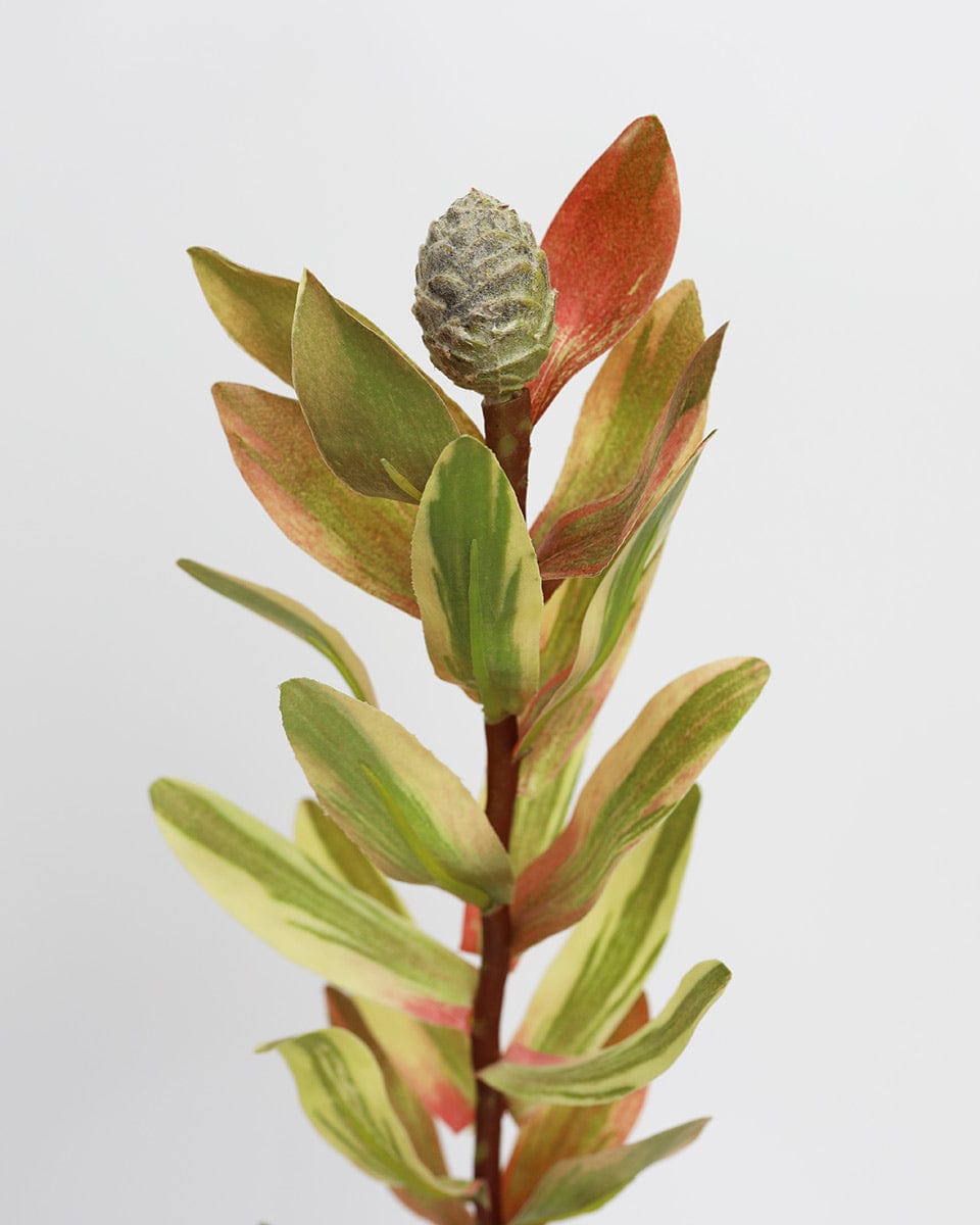 Fake Tropical Protea Foliage