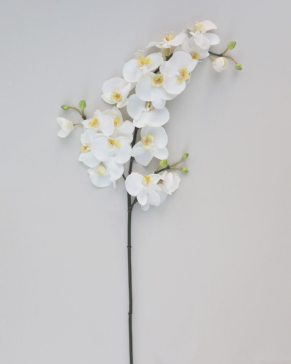 Prestige Botanicals Artificial White Spray Phalaenopsis Orchid Stem