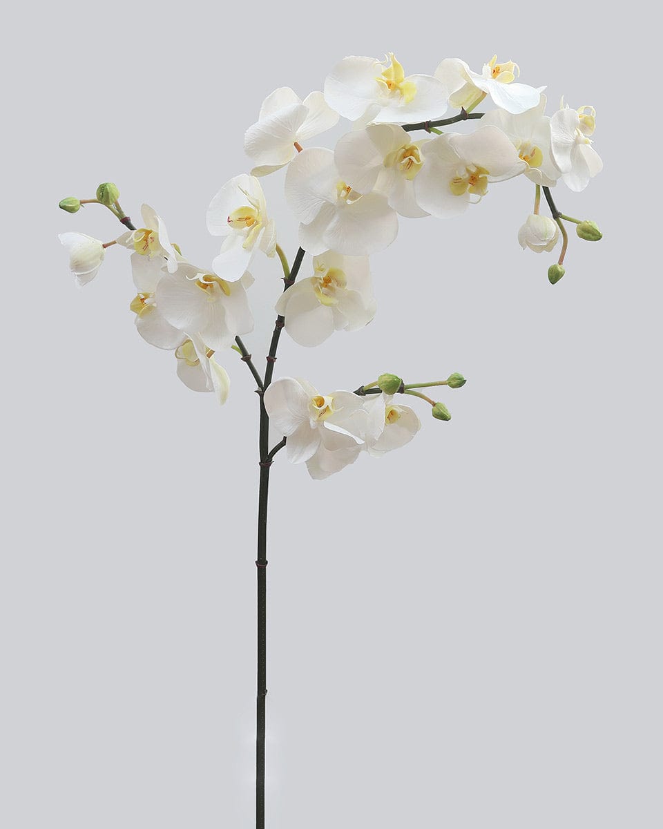 White Artificial Orchid Stems with Soft Touch Blooms