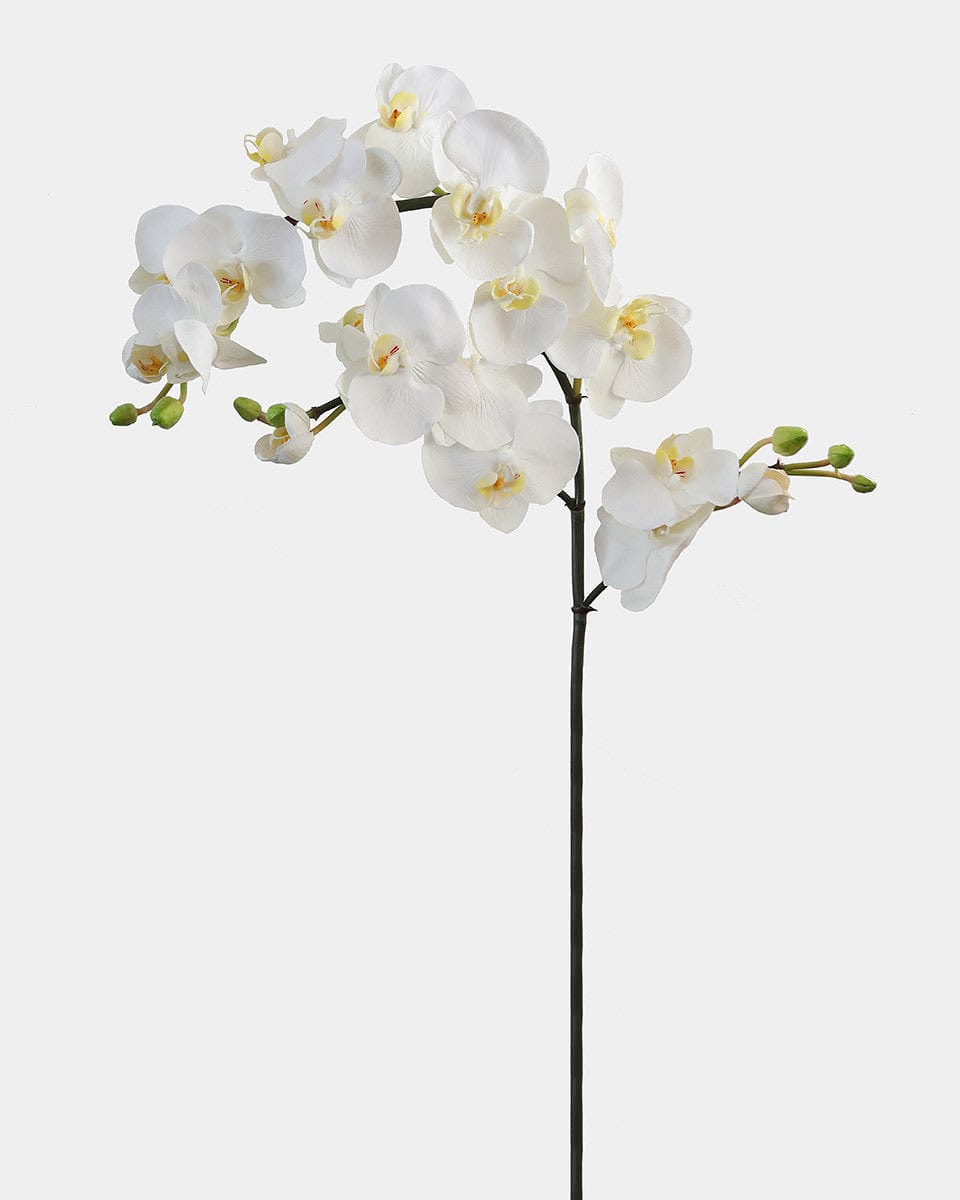 White Artificial Orchid Stems with Soft Touch Blooms