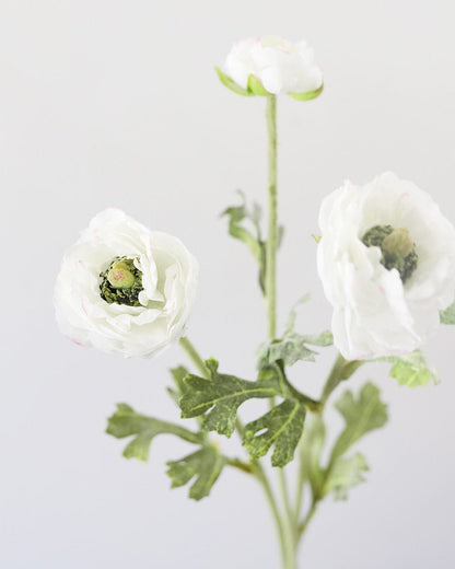 Prestige Botanicals Artificial White Ranunculus Detailed Photo