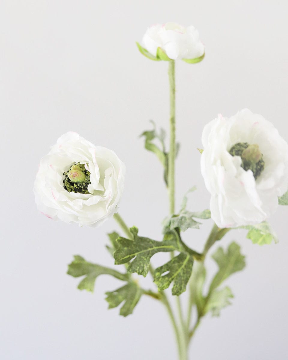 Prestige Botanicals Artificial White Ranunculus Detailed Photo