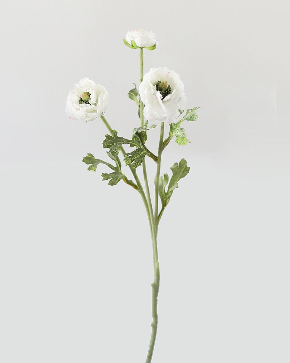 Prestige Botanicals Artificial White Ranunculus Spray
