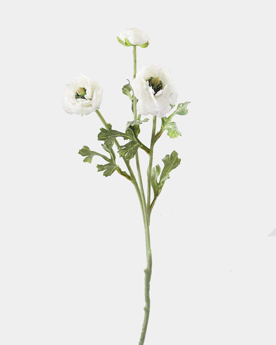 Prestige Botanicals pb-stem Artificial White Ranunculus Spray