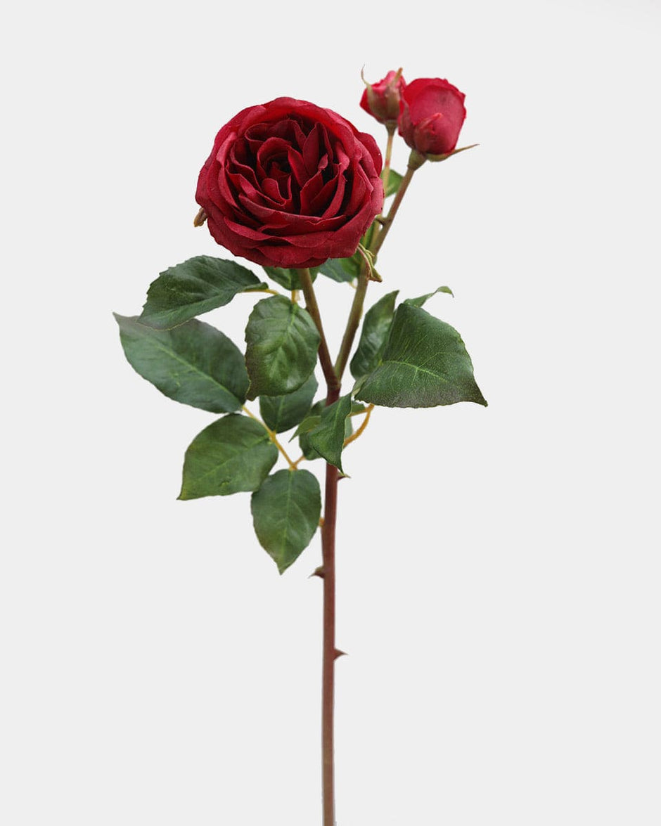 Prestige Botanicals Valentines Day Collection