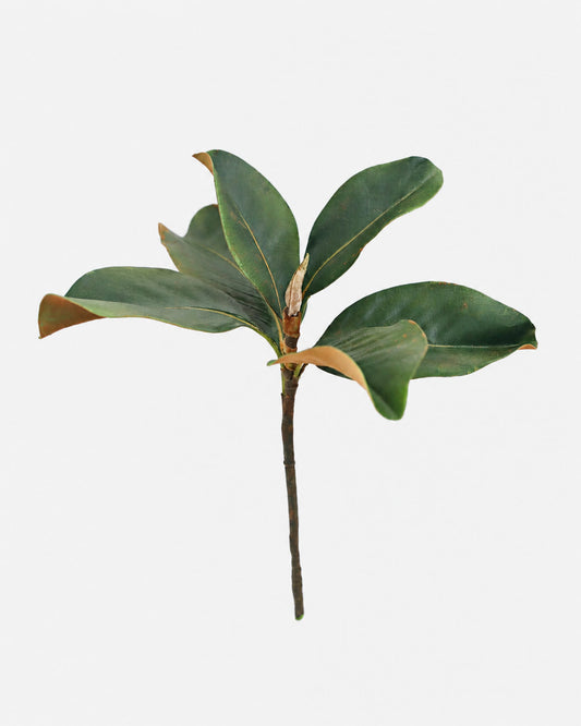 A single faux magnolia stem glossy green leaves and brown tips, isolated on a light gray background.