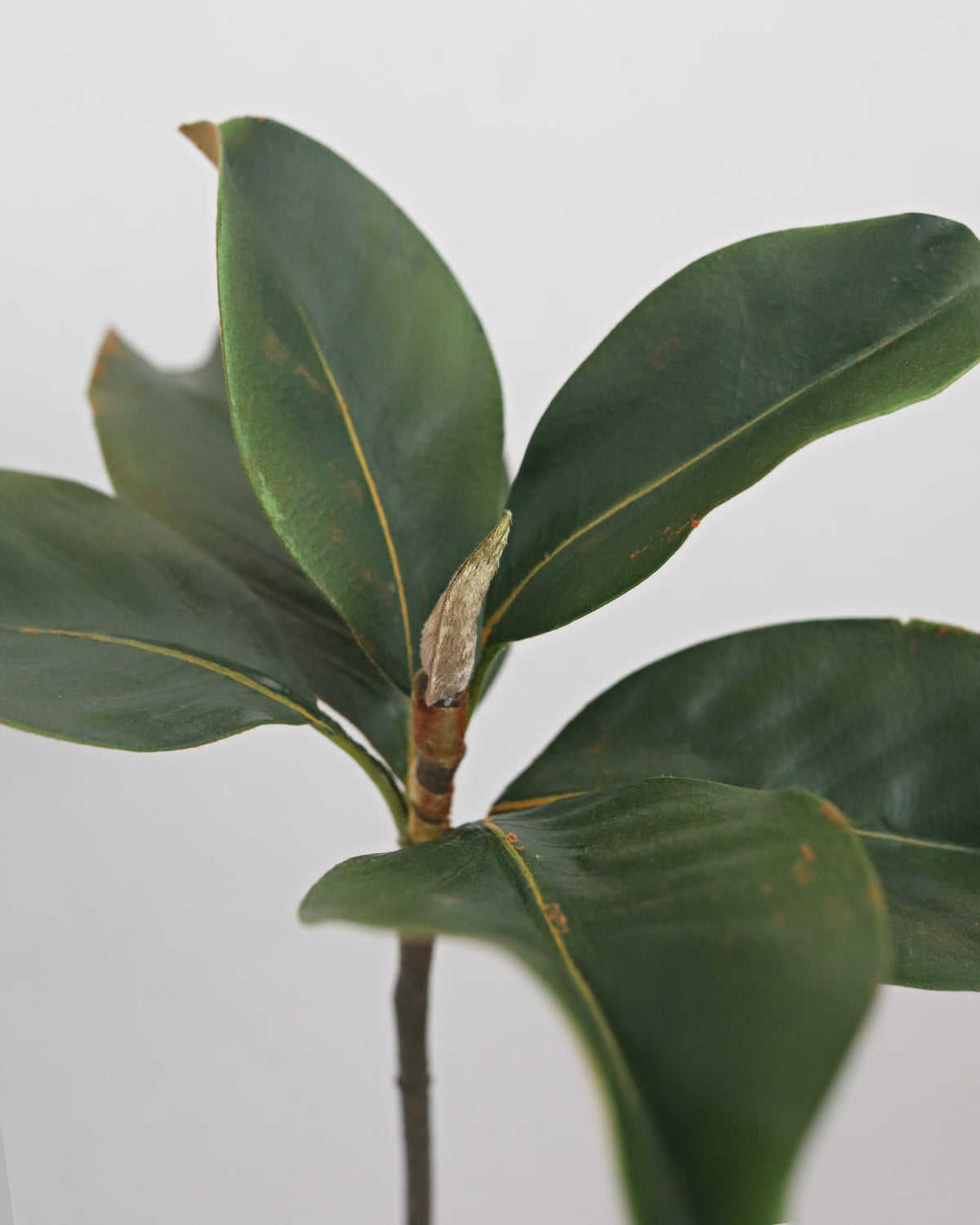 A close-up of a faux magnolia leaf stem with glossy dark green leaves and a small new bud at the center, photographed against a plain light background.