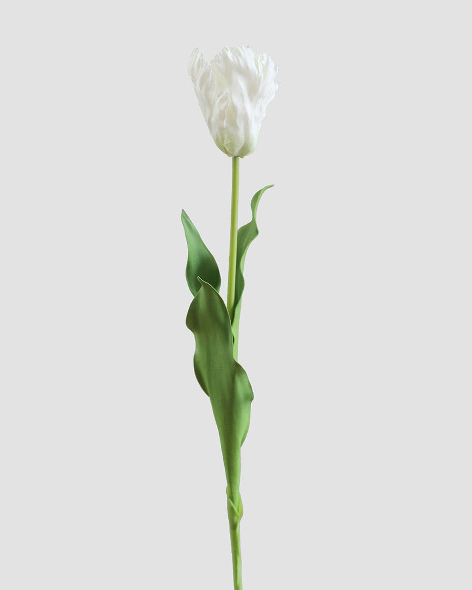 Prestige Botanicals Artificial White Parrot Tulip