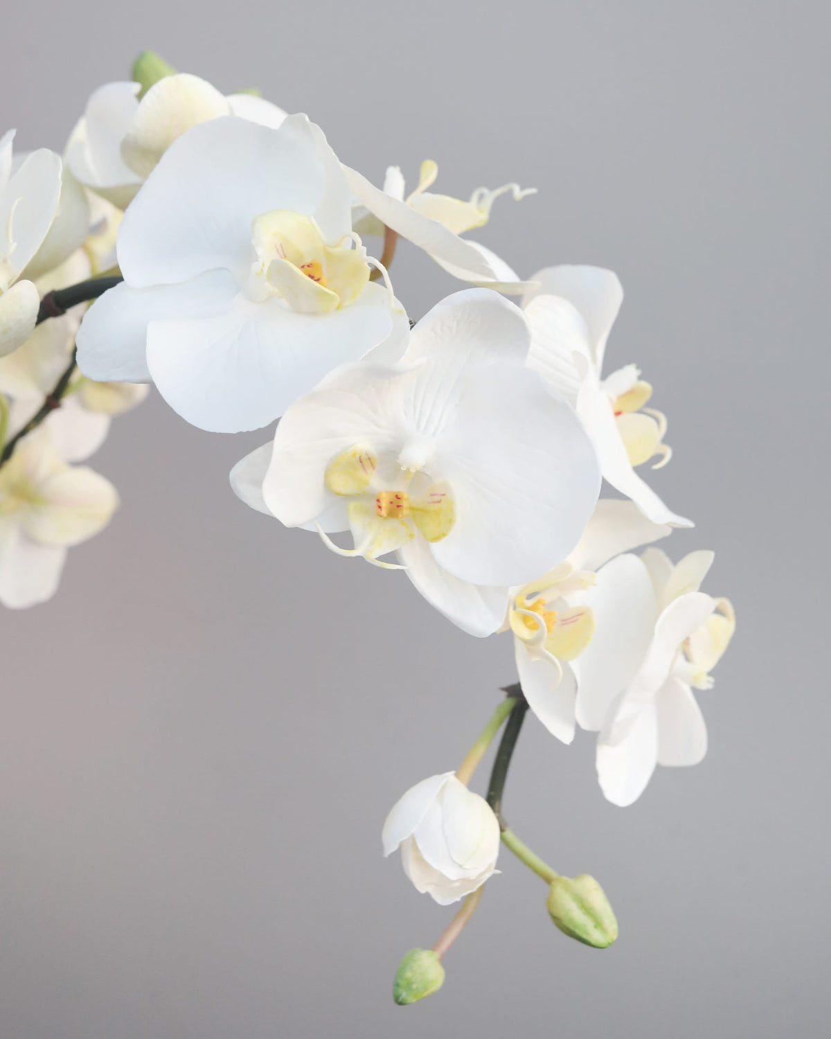 Close-up of white artificial Phalaenopsis orchid blooms with soft petals and green buds.