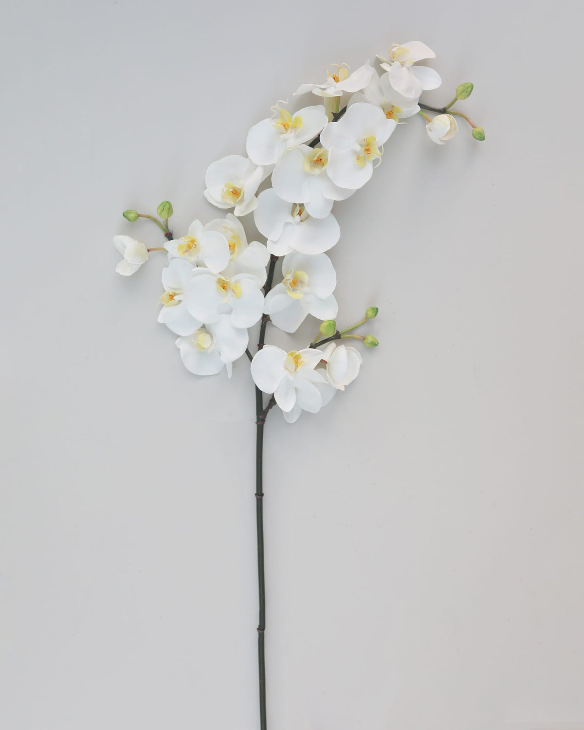 Tall artificial white Phalaenopsis orchid stem with lifelike blooms and green buds.