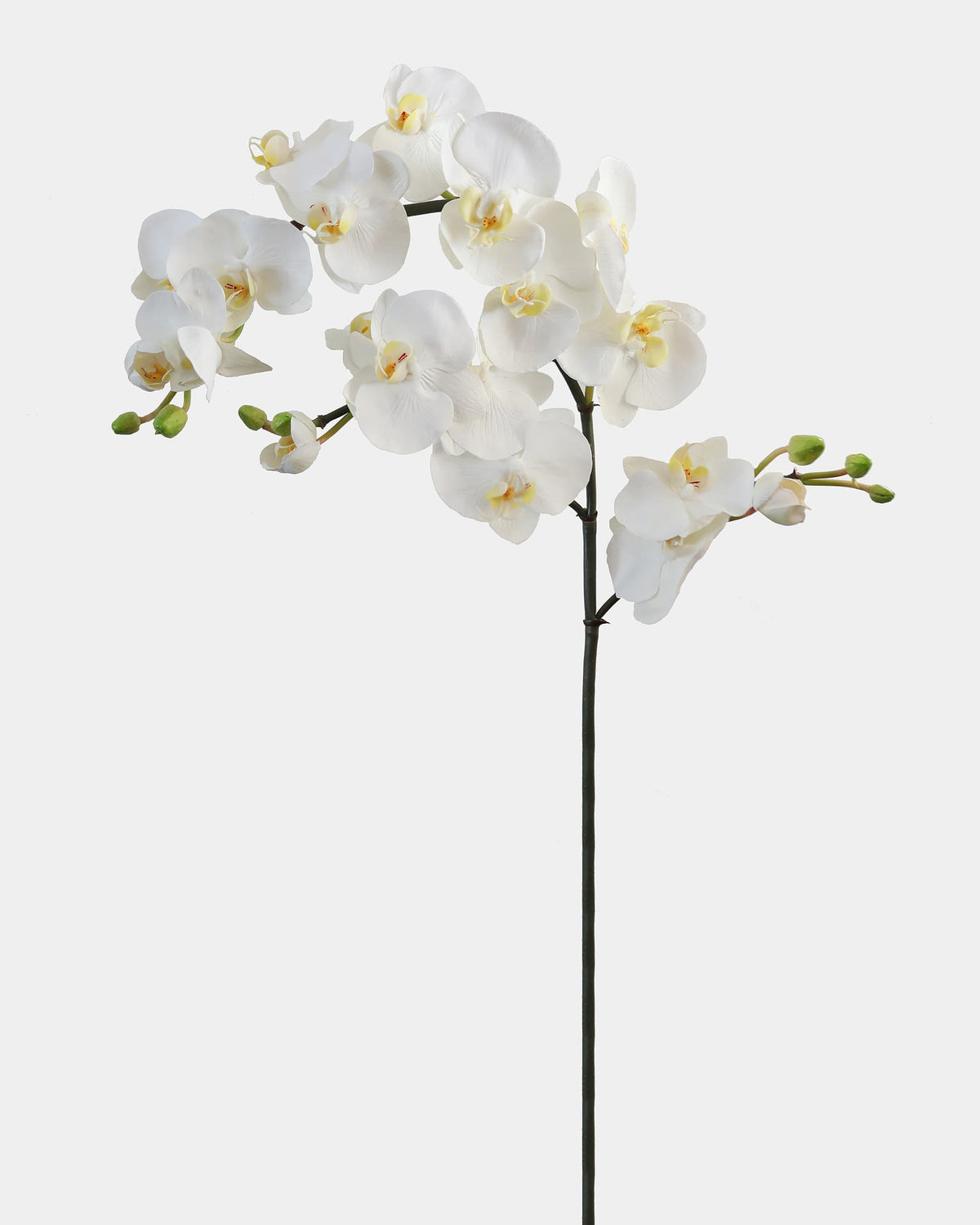 Artificial white Phalaenopsis orchid stem with cascading blooms and green buds on a light background.