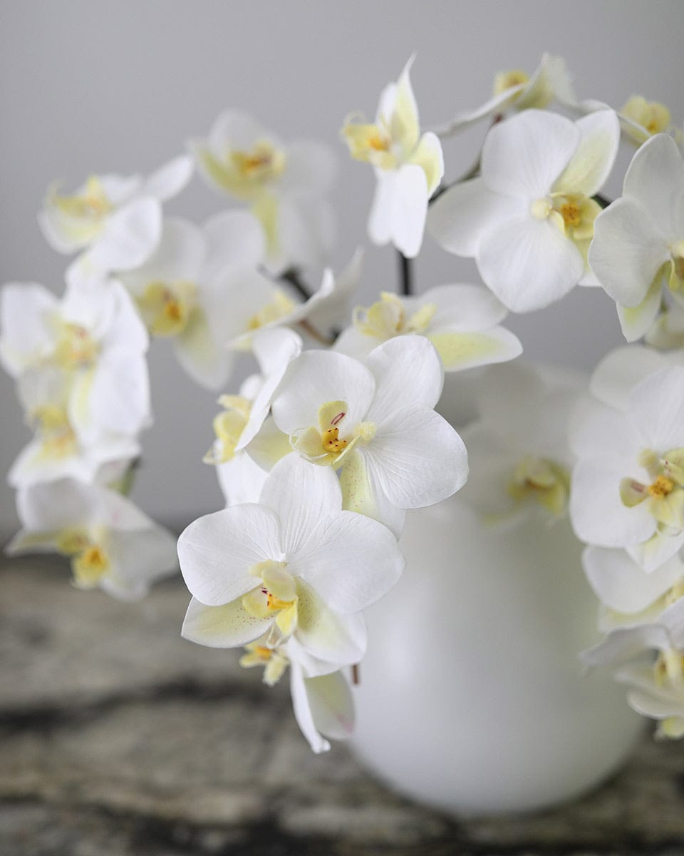 Details of Artificial White Orchids in Vase