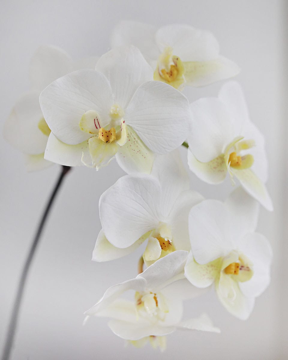Premium Faux Flowers White Phalaenopsis Orchid
