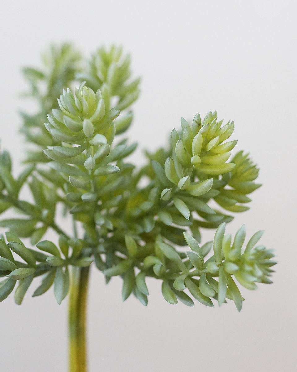 Fake Plants Jade Succulent in Green