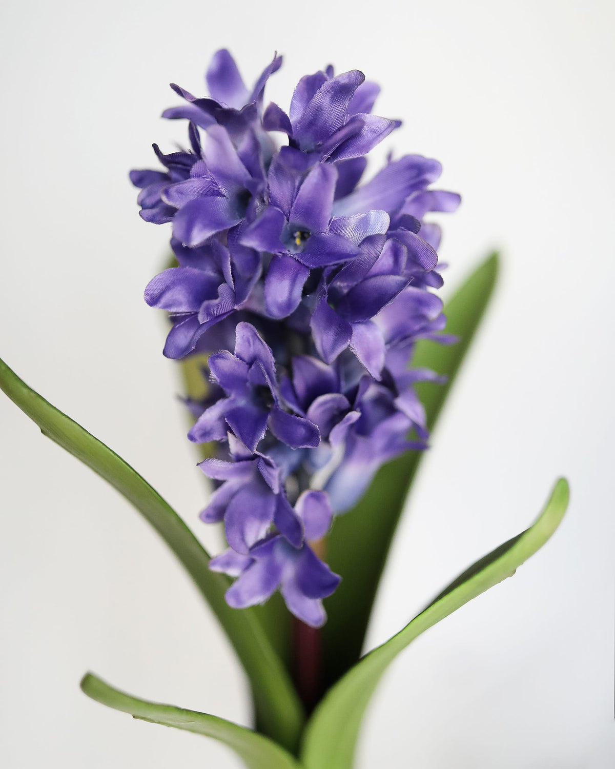 Purple faux hyacinth flower with green leaves on a white background