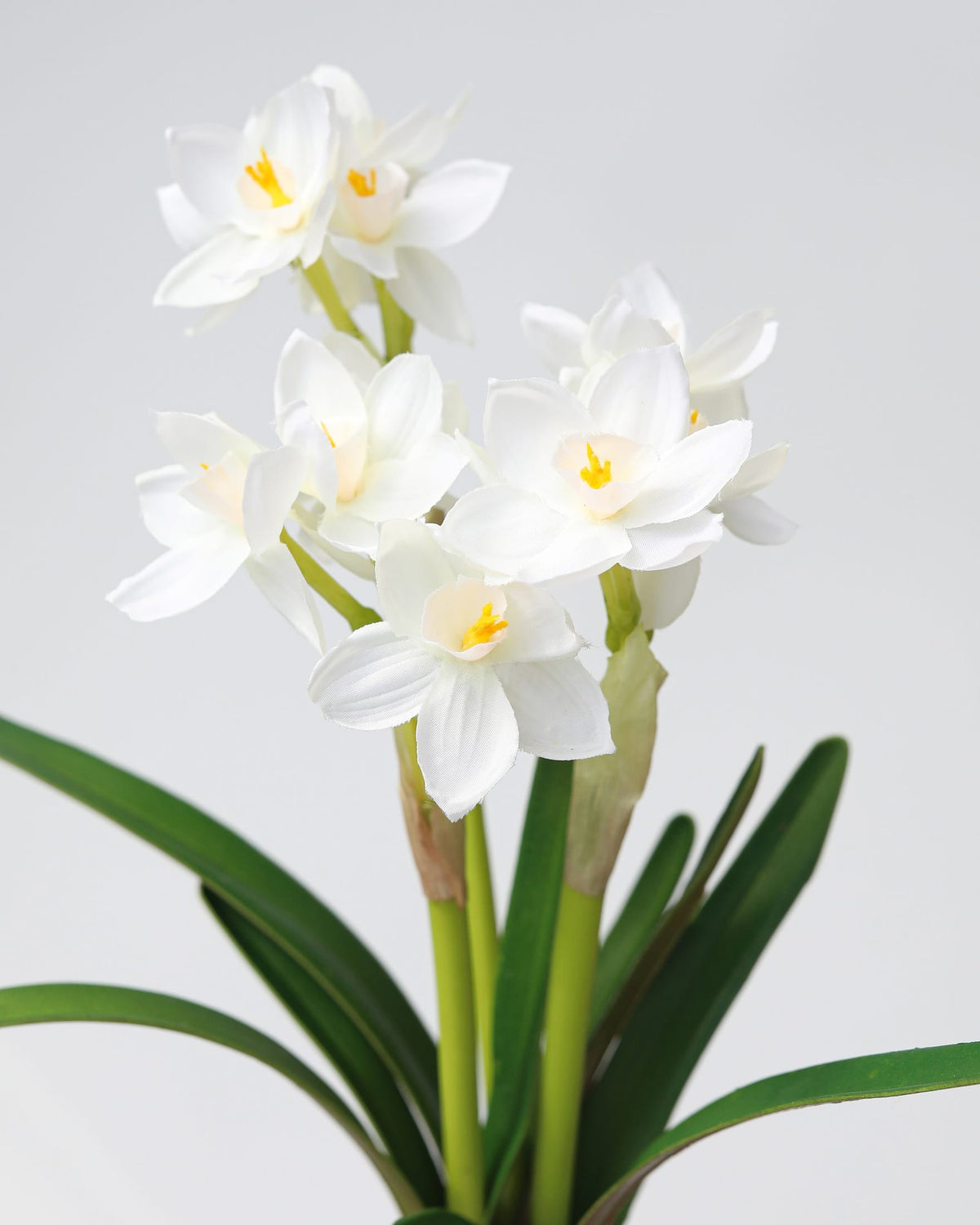 White faux Narcissus flowers with yellow centers and green leaves, photographed against a light gray studio background.