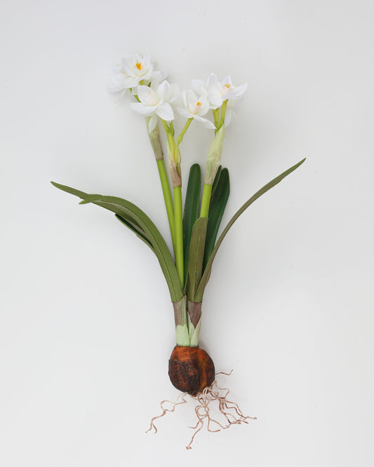 White fake Narcissus with green leaves and roots on a light gray background