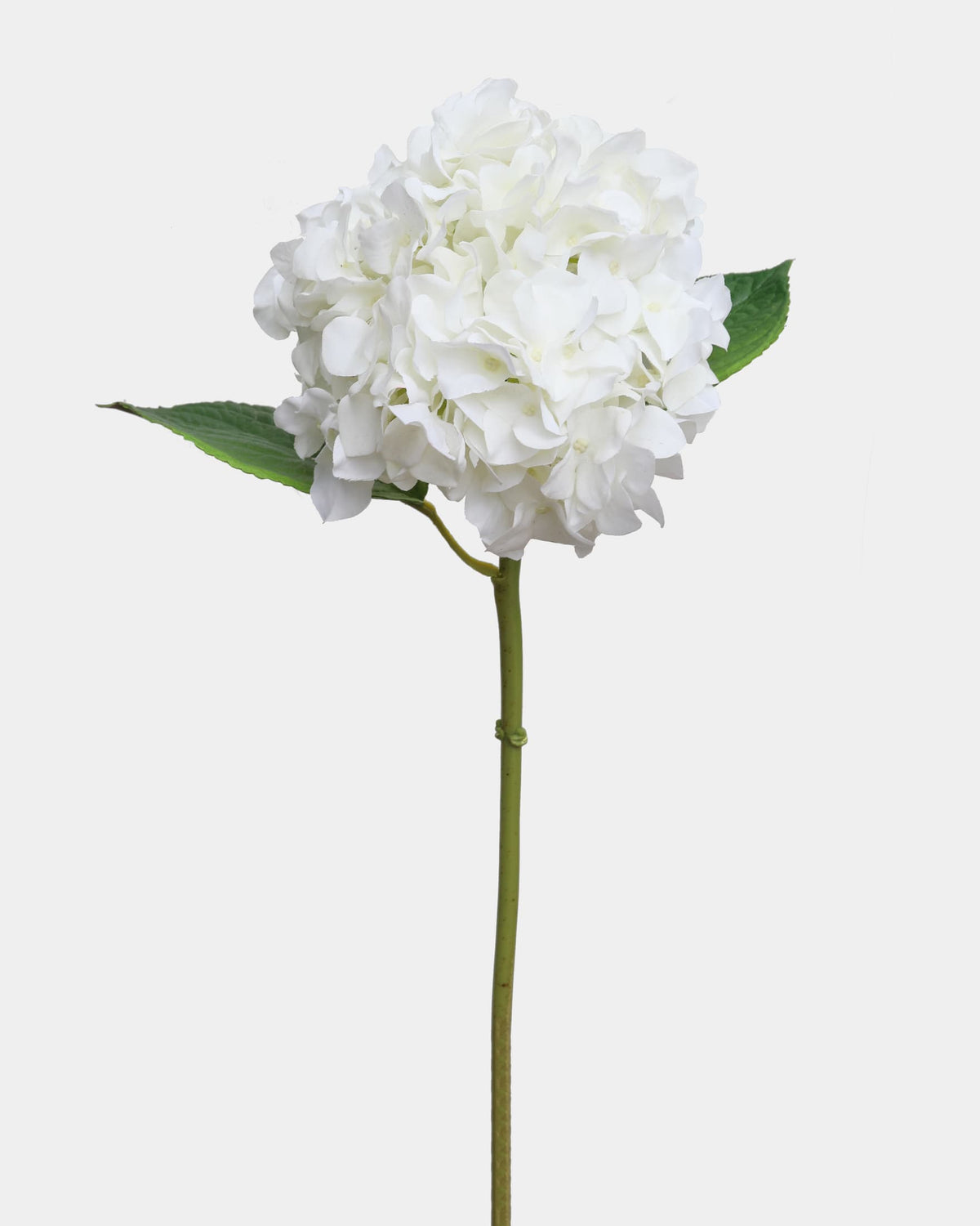A single white faux hydrangea flower with green leaves and stem, isolated on a light gray background.