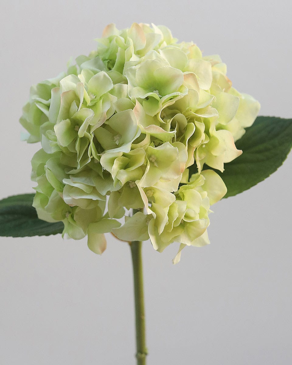 Faux Flowers Real Touch Green Hydrangea