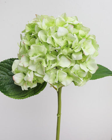 Artificial Short Green Hydrangea 18