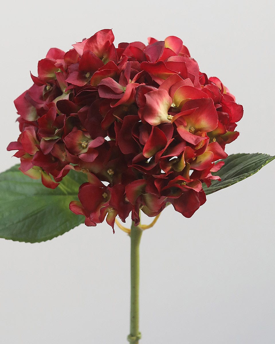 Artificial Hydrangea Bloom in Red Burgundy 