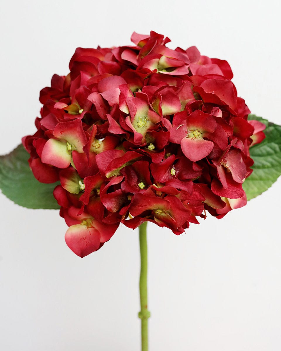 Artificial Hydrangea Bloom in Red Burgundy