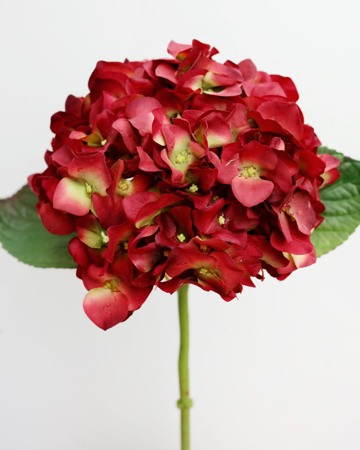 Red faux hydrangea with green leaves on a white background