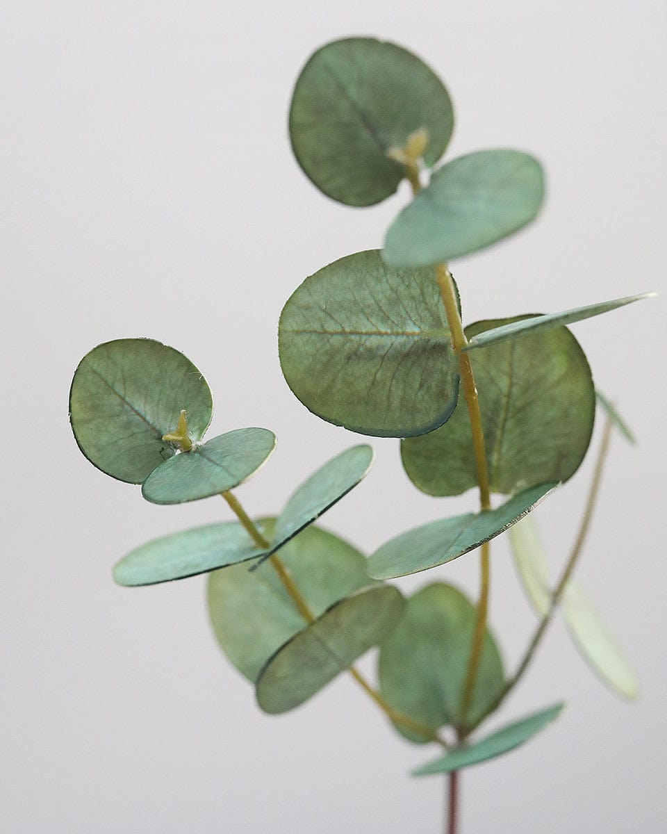 Close Up of Faux Eucalyptus Leaf Stem
