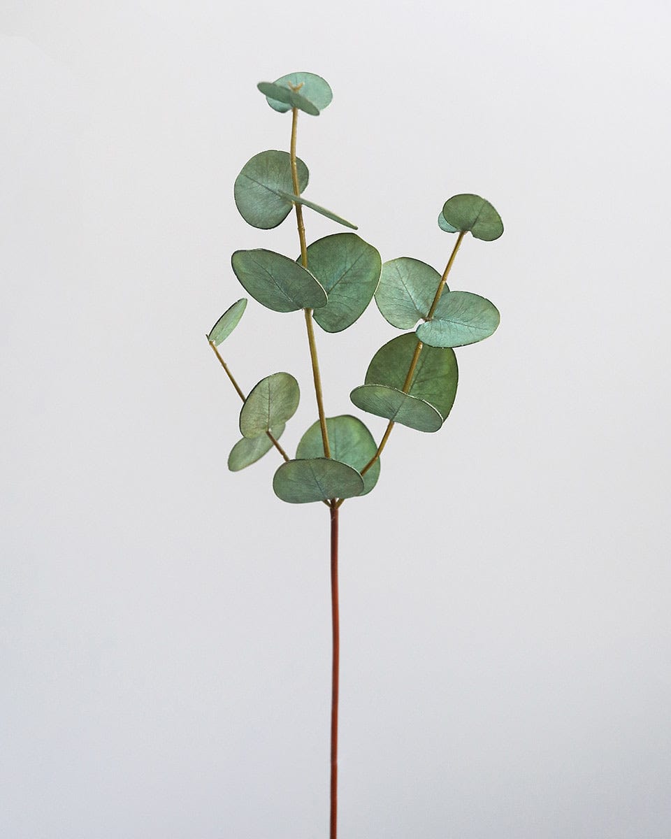 Prestige Botanicals Artificial Green Eucalyptus Foliage Stem
