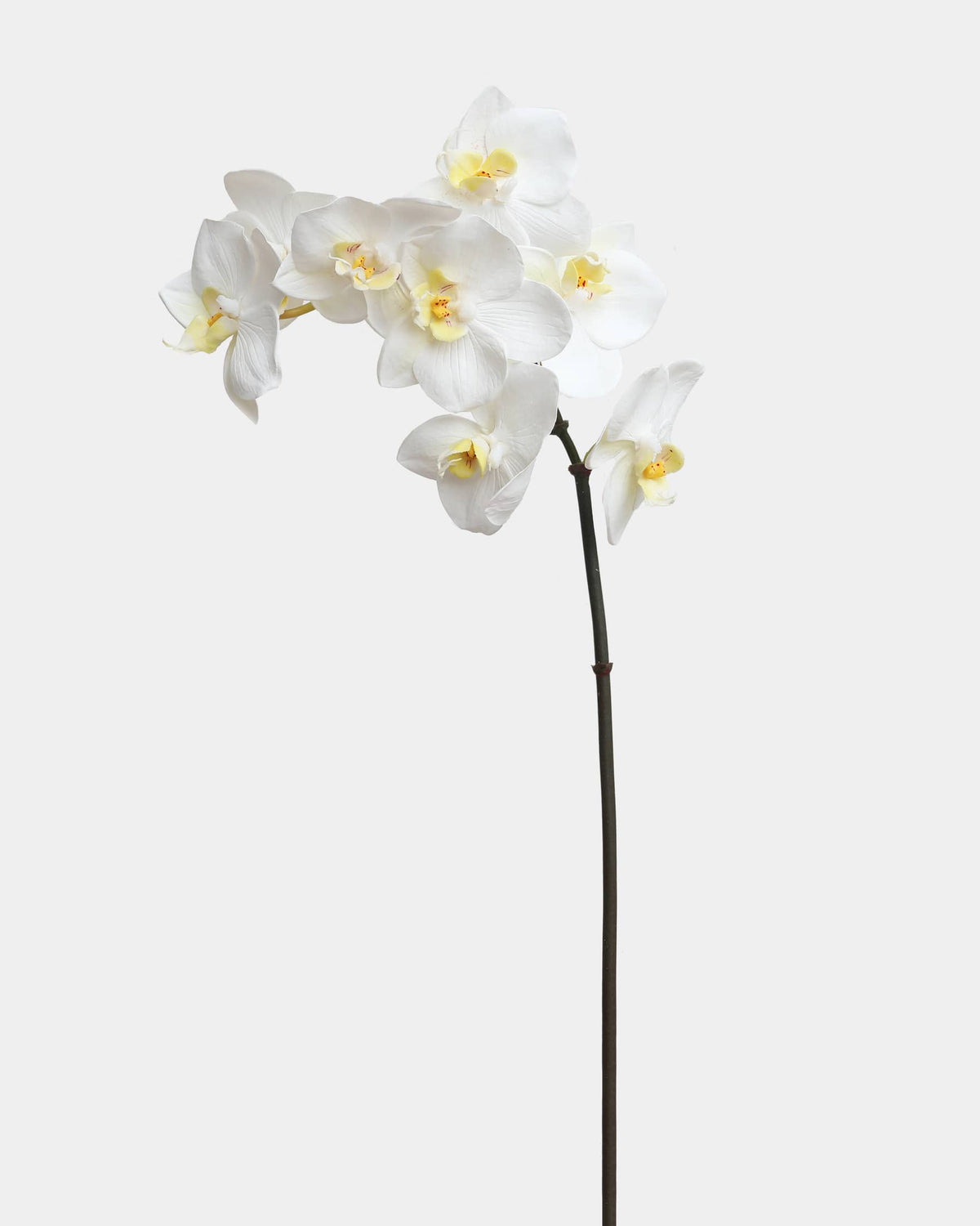 Artificial white Phalaenopsis orchid stem with lifelike blooms and yellow centres on a light background.
