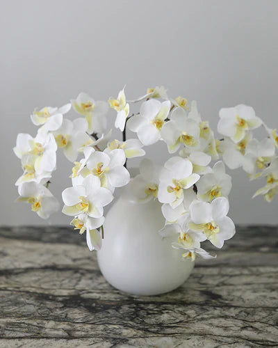 Faux White Orchids Artificial Flowers