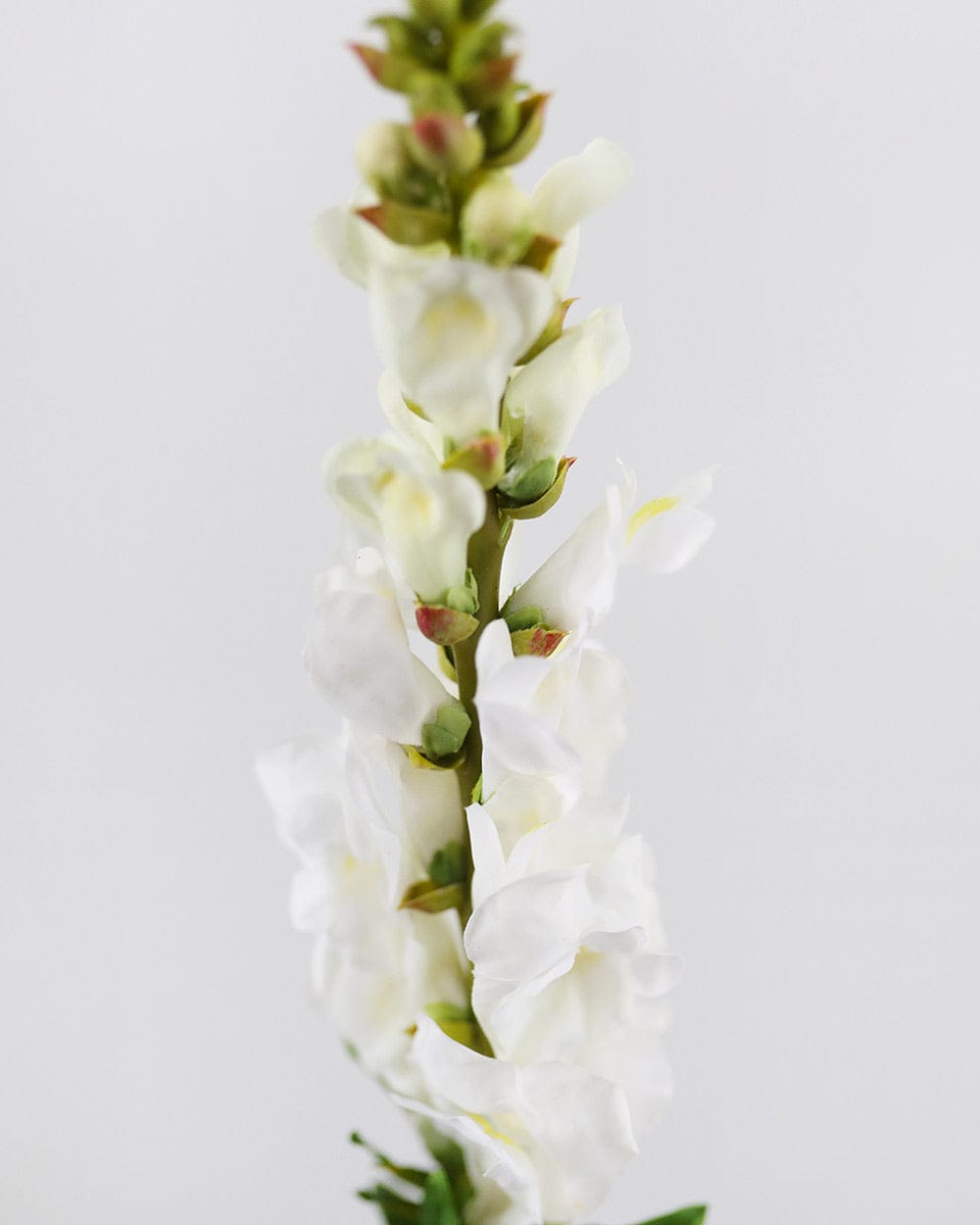 Close Up Image of Faux Snapdragons in White