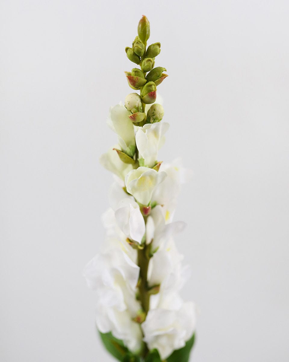 Details of Fake Flower Blossoms of White Snapdragons