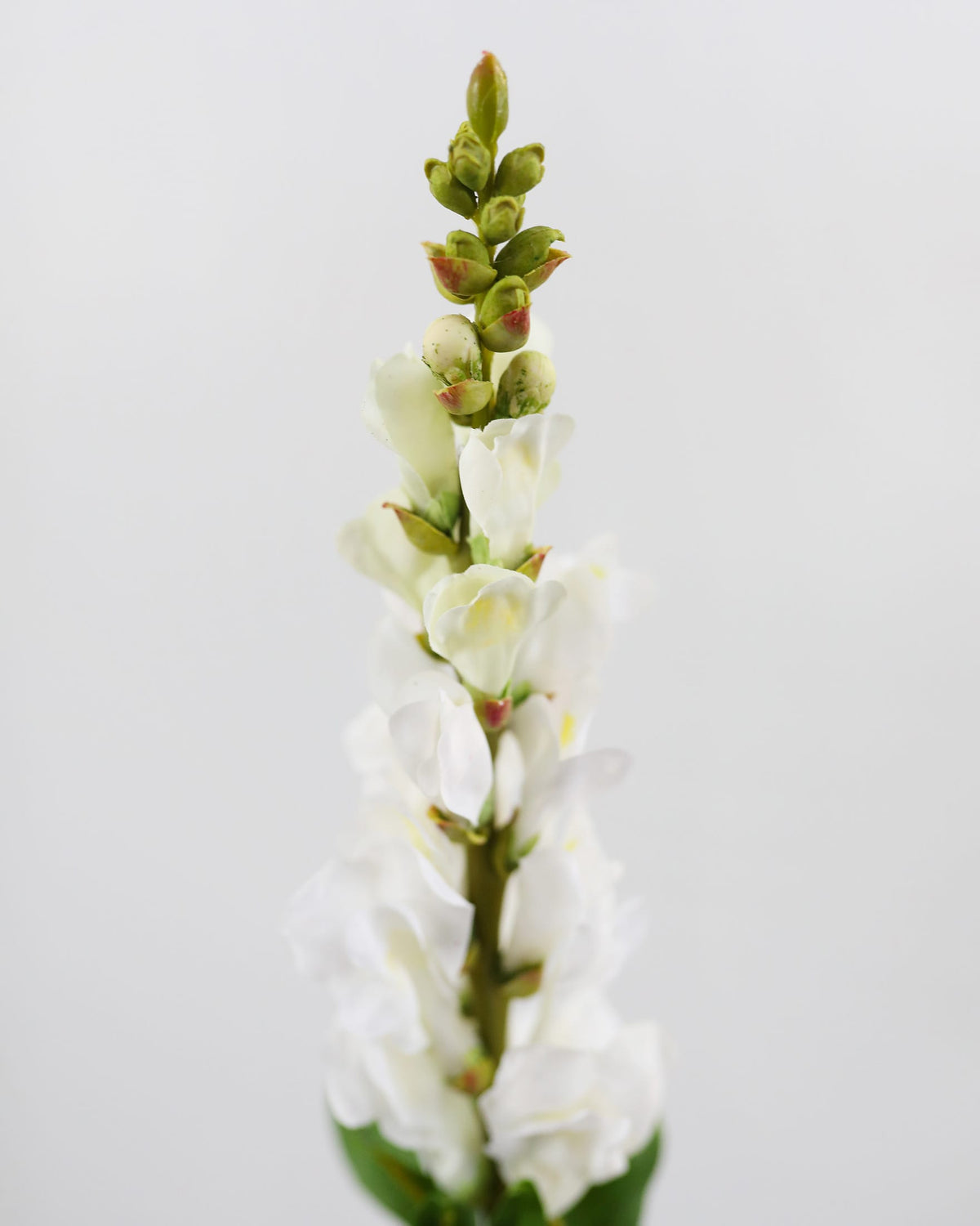 faux white snapdragon close up 
