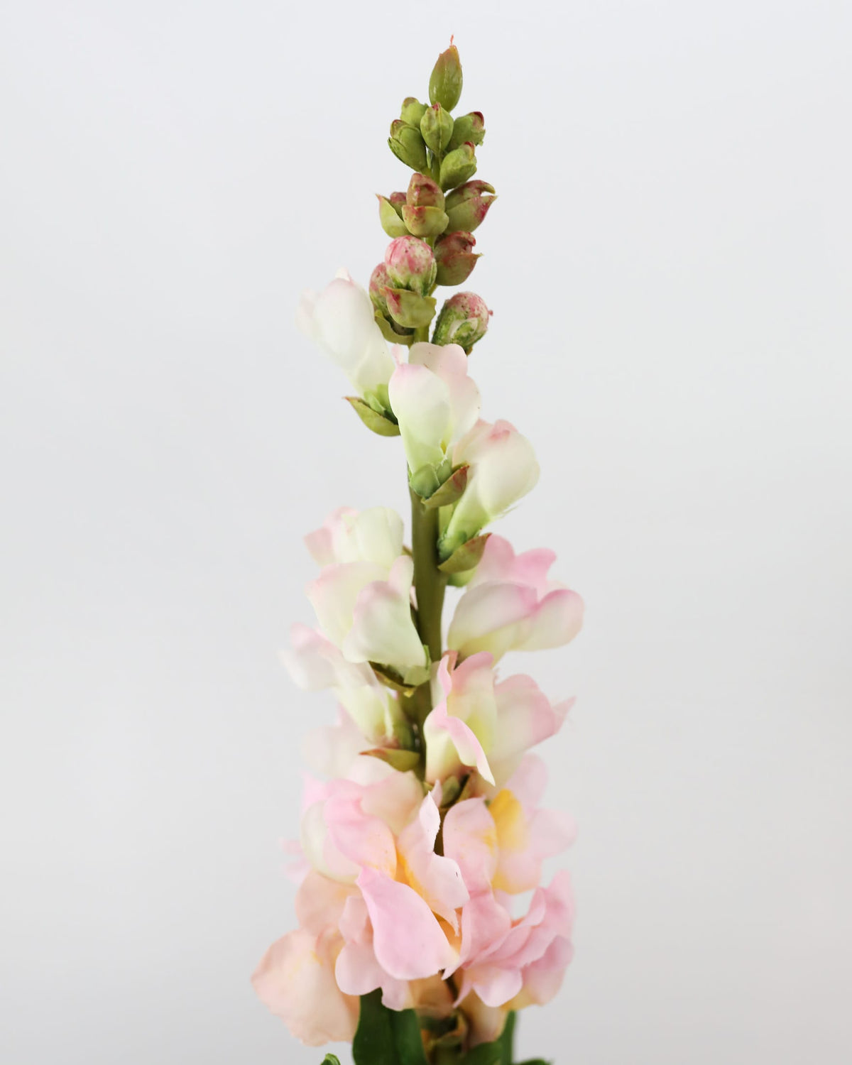 faux pink snapdragon close up 