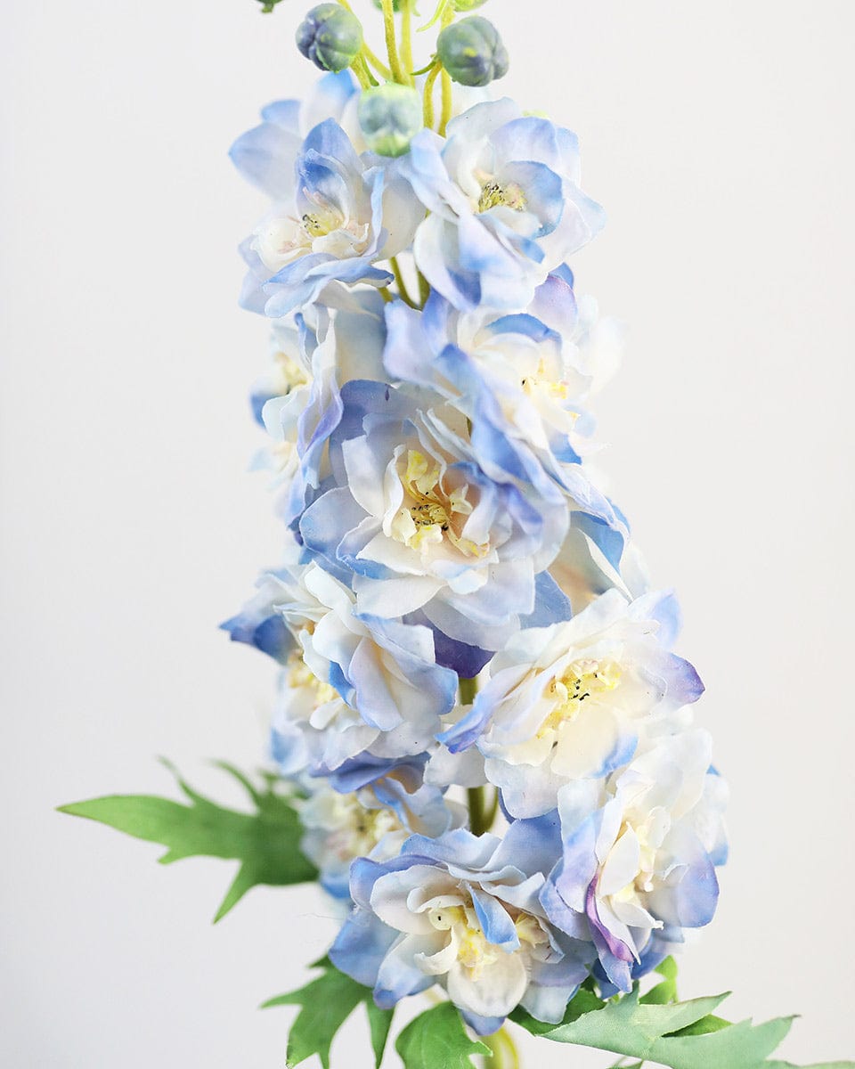 Blue Real Touch Delphinium Flowers Blooms