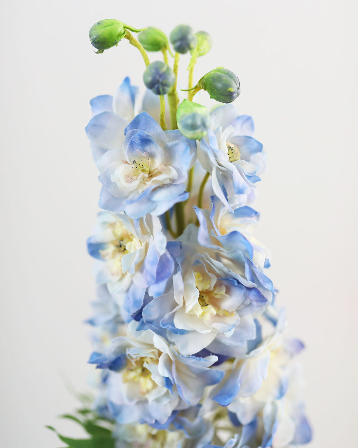 A close-up of a artificial real touch blue delphinium with pale blue and white blossoms, green buds, and a few green leaves against a soft off-white background.