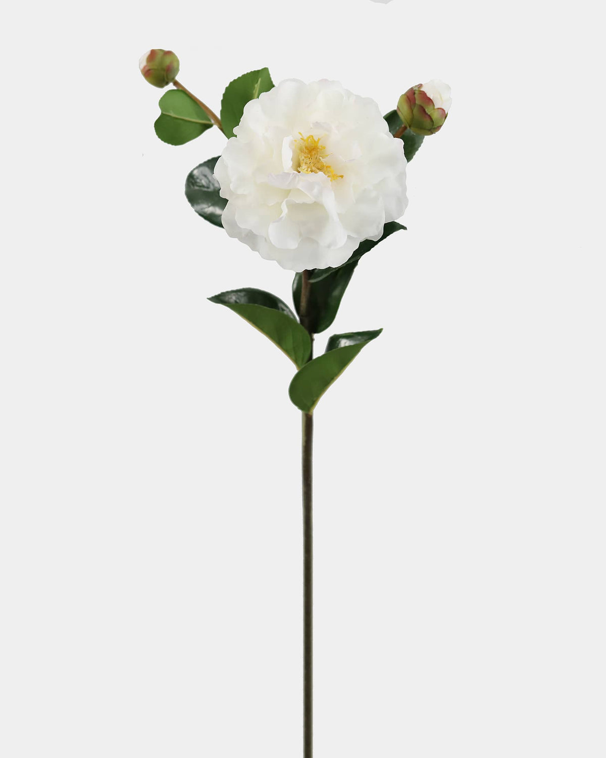 Faux White Real Touch Camellia