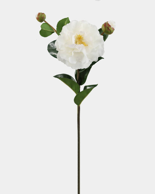 Faux White Real Touch Camellia