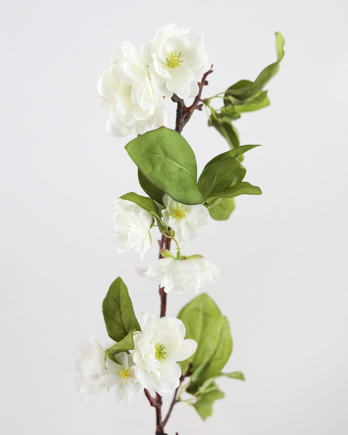 Faux White Cherry Blossom close up 