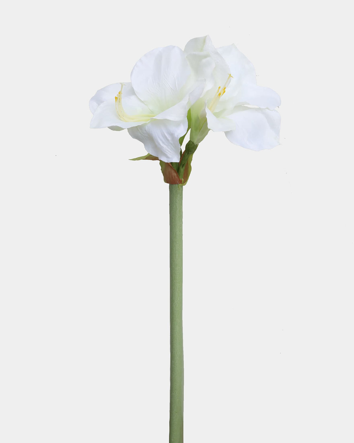 White Faux Amaryllis stem