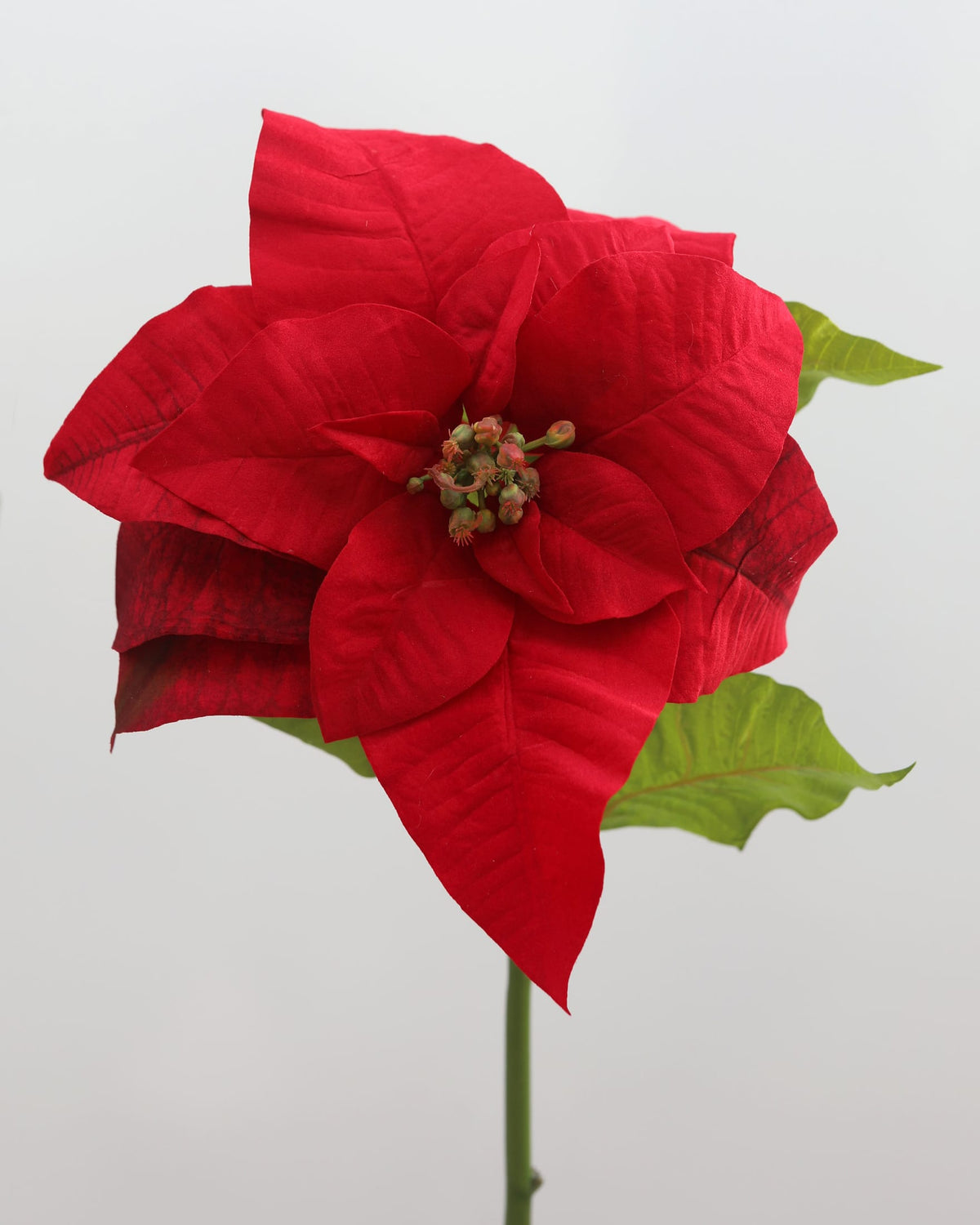 Artificial Red Poinsettia close up 