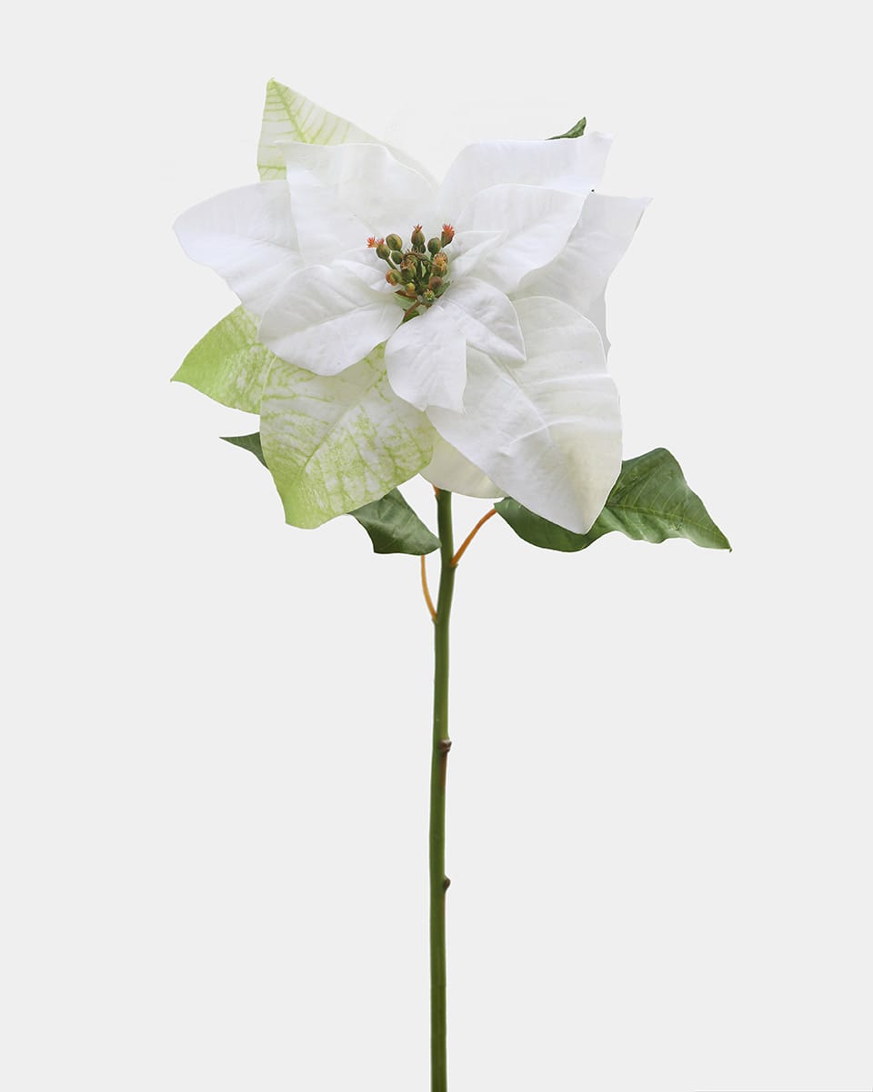 Prestige Botanicals pb-stem Artificial White Poinsettia
