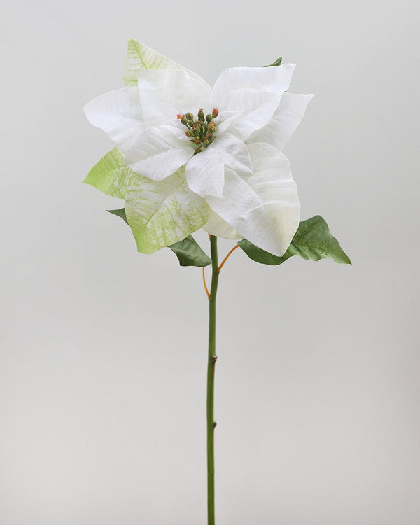 Artificial White Poinsettia 24”
