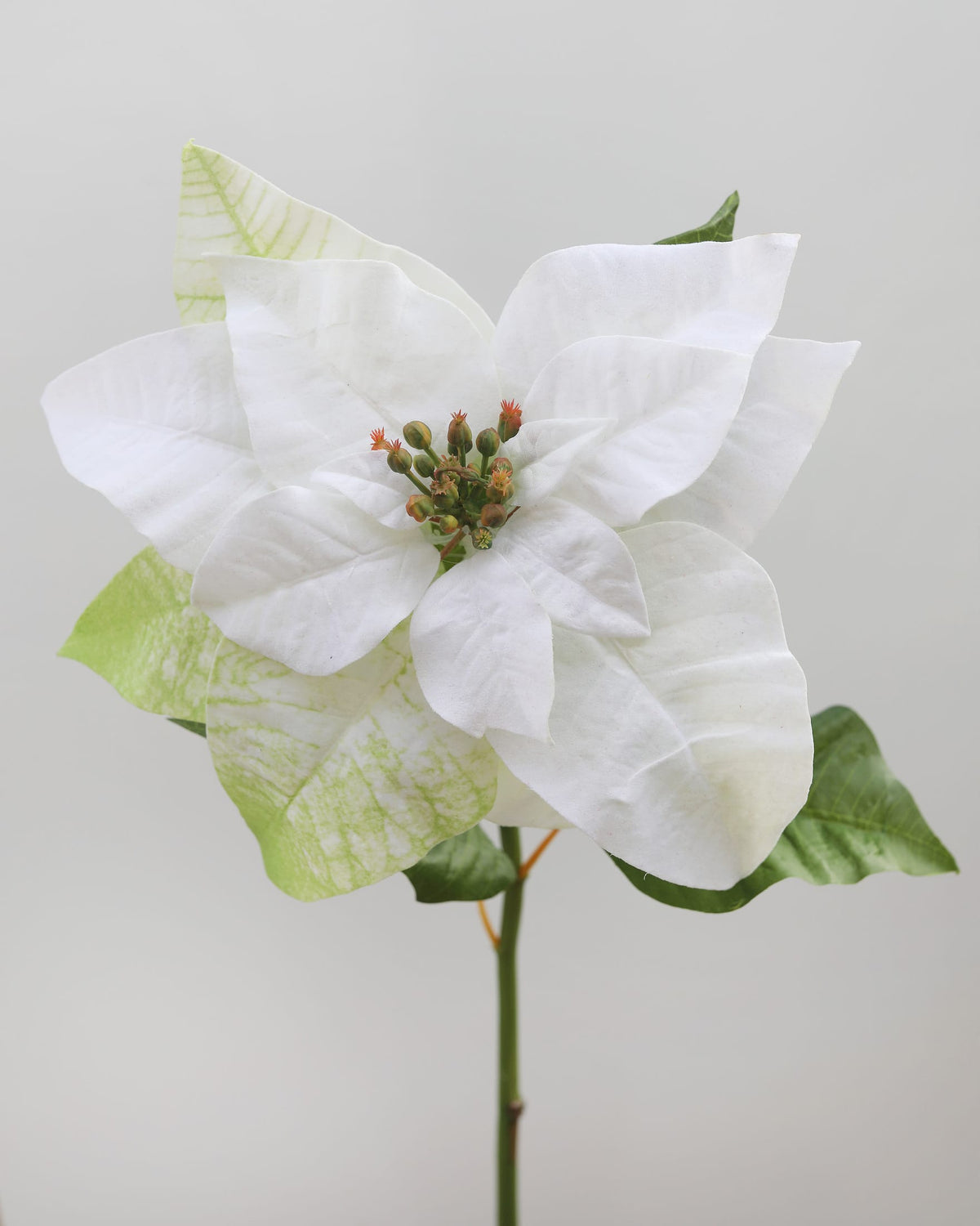 Artificial Poinsettia in White