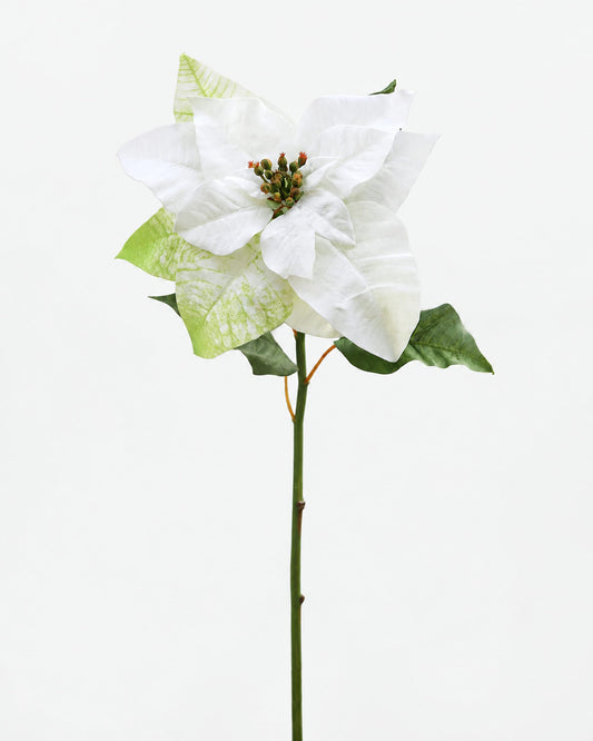 White Fake Poinsettia