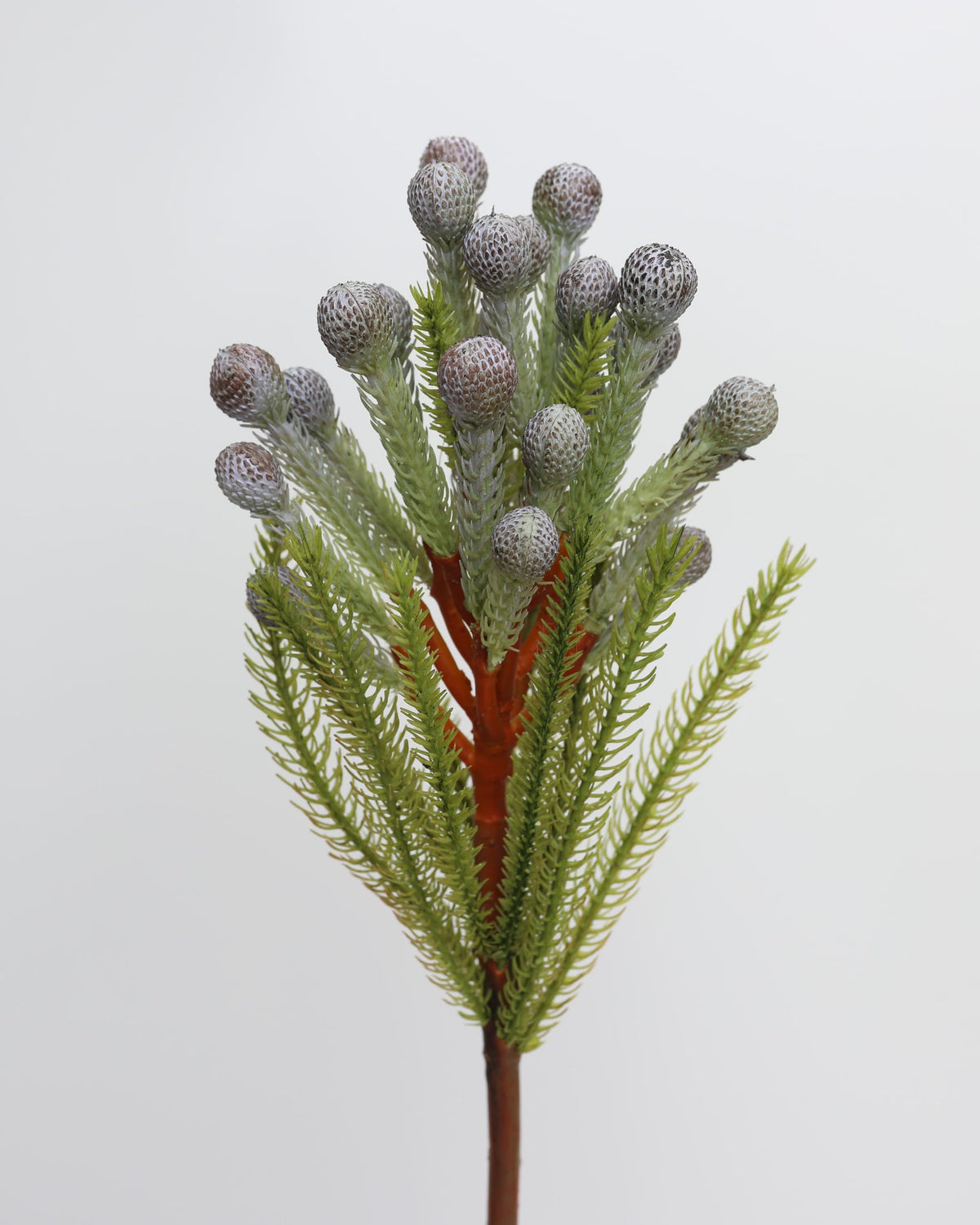 Artificial Silver Brunia Berries close up
