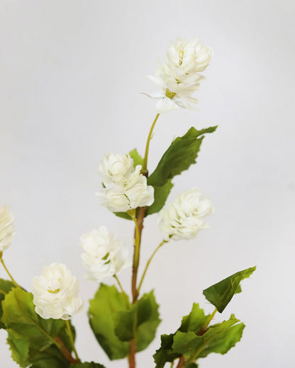 Details of Faux Hops in White Color