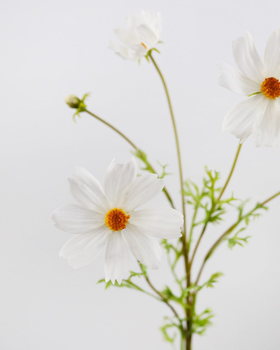 White Flowers Faux Cosmos WIldflowers