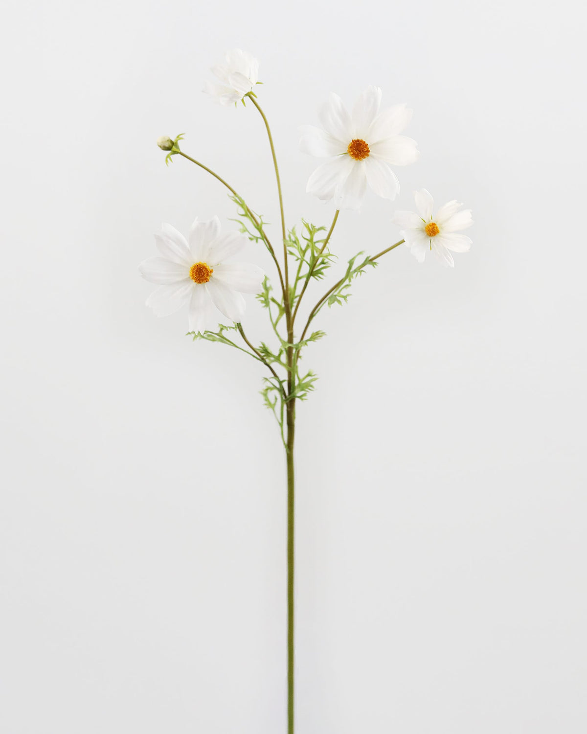 Artificial White Real Touch Cosmos